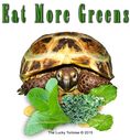 eat-more-greens.jpg