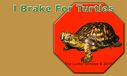 i-brake-for-turtles_2.jpg