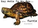 say-hello-to-my-box-turtle.jpg