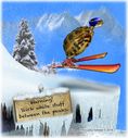 skiing-tortoise-slick-between-the-peaks.jpg