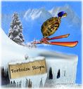 skiing-tortoise-slope.jpg