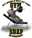 snapping-turtle-at-the-gym.jpg