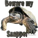 snapping-turtle-beware-my-snapper.jpg
