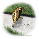 tortoise-running-on-time.jpg