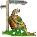 tortoise-with-lucky-four-leaf-clover.jpg